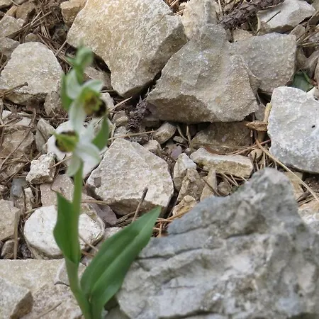 Apartament With 2 Terrace