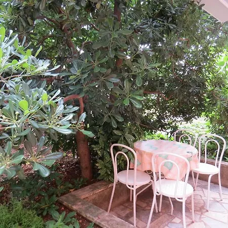 With 2 Terrace Apartment *
