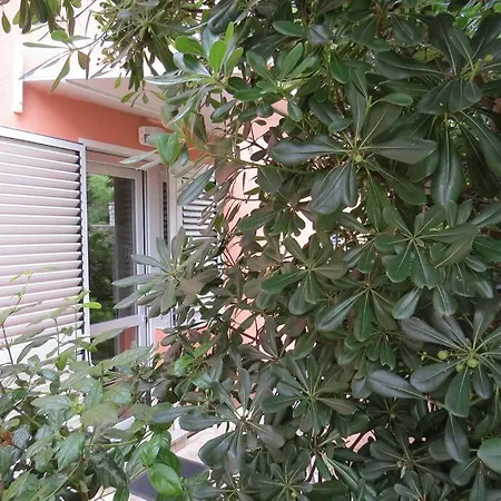 Apartmán With 2 Terrace *