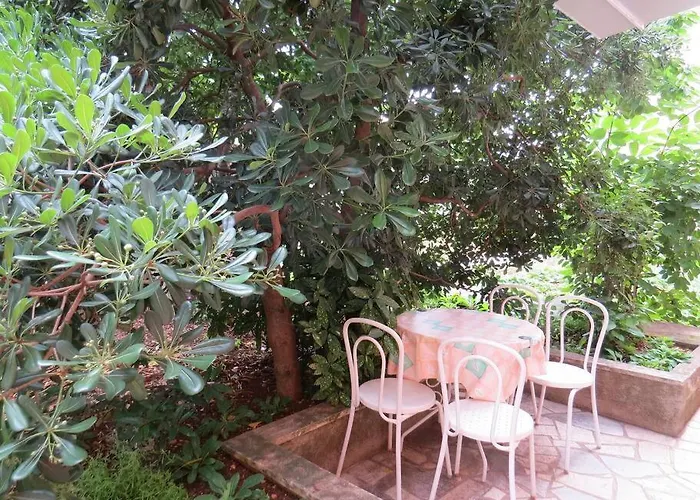 With 2 Terrace Apartament *